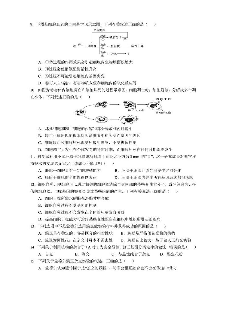 安徽省池州市贵池区2022-2023学年高一下学期期中考试生物试题第3页