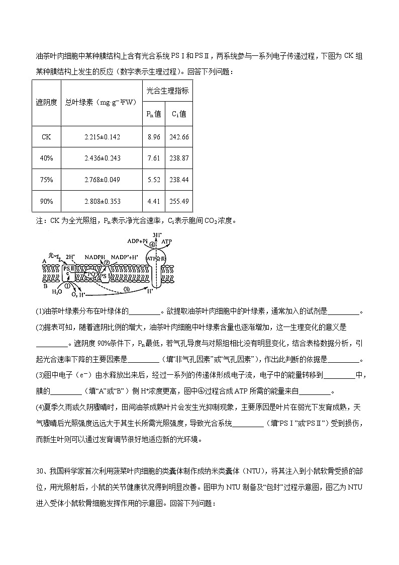 卷03-【冲刺抢分】2023年高考生物临考压轴卷(全国甲卷)(原卷版)第3页