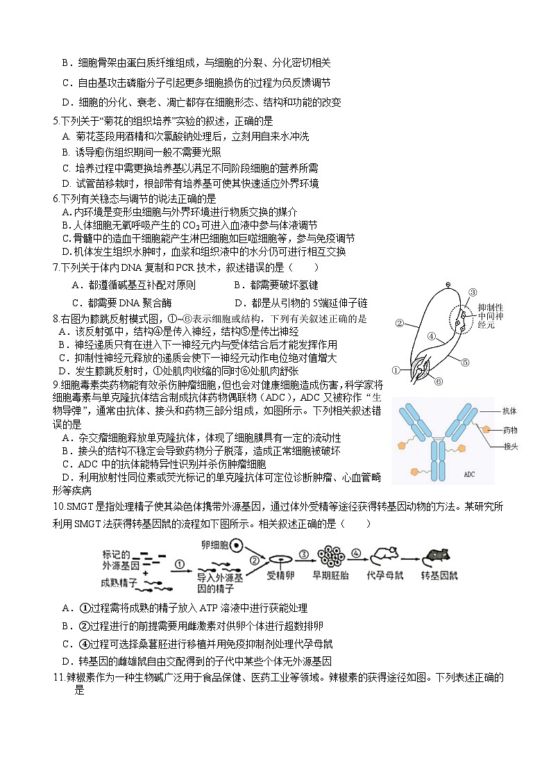 2023届江苏省盐城市伍佑中学高三考前热身考试生物试题及答案第2页