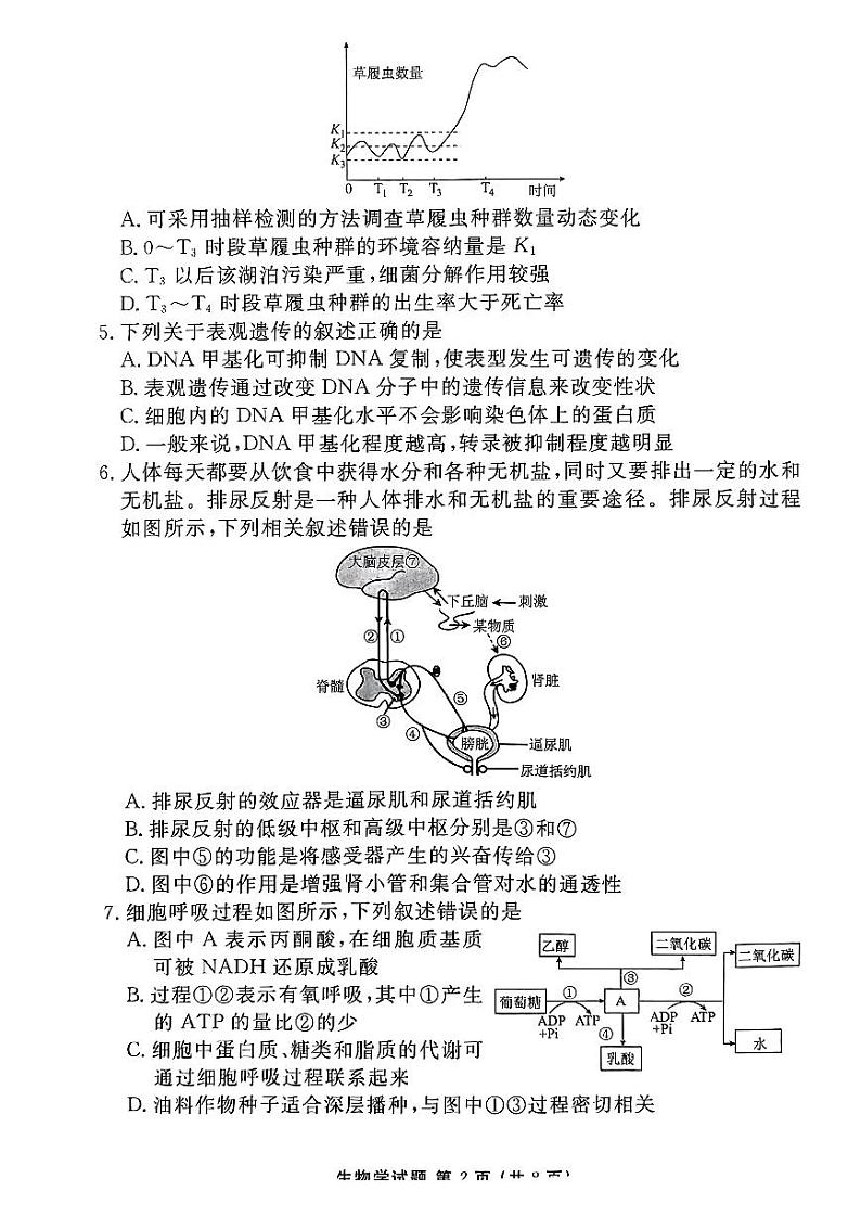 生物试题第2页