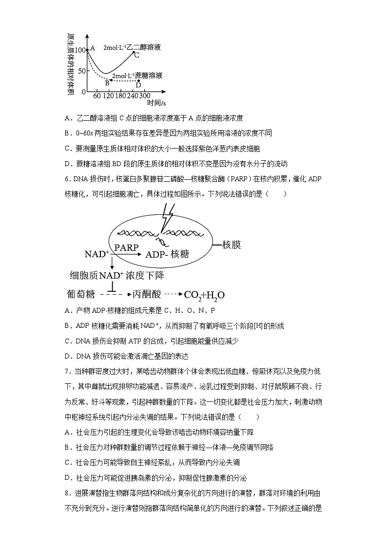 2023届广东省深圳市华朗学校高三下学期适应性考试生物试题(含解析)第2页