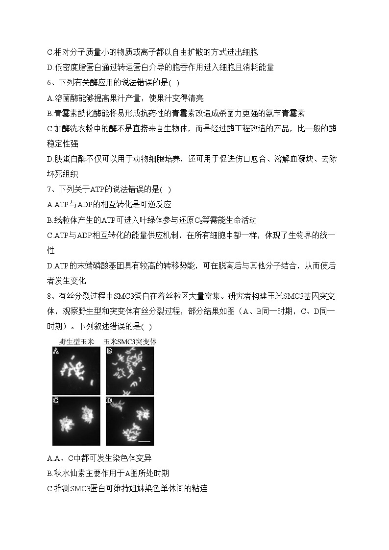 江苏省海安高级中学2023届高三下学期第五次阶段考生物试卷(含答案)第2页