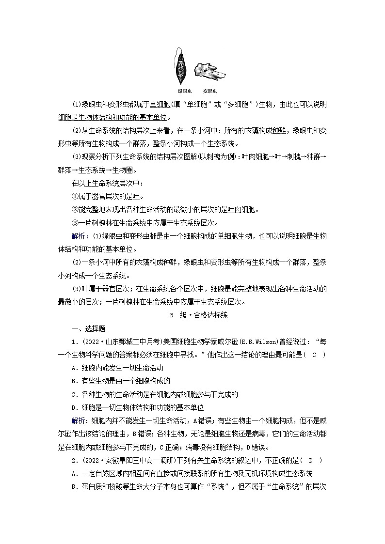 新教材2023年高中生物第1章走近细胞第1节细胞是生命活动的基本单位夯基提能作业新人教版必修103