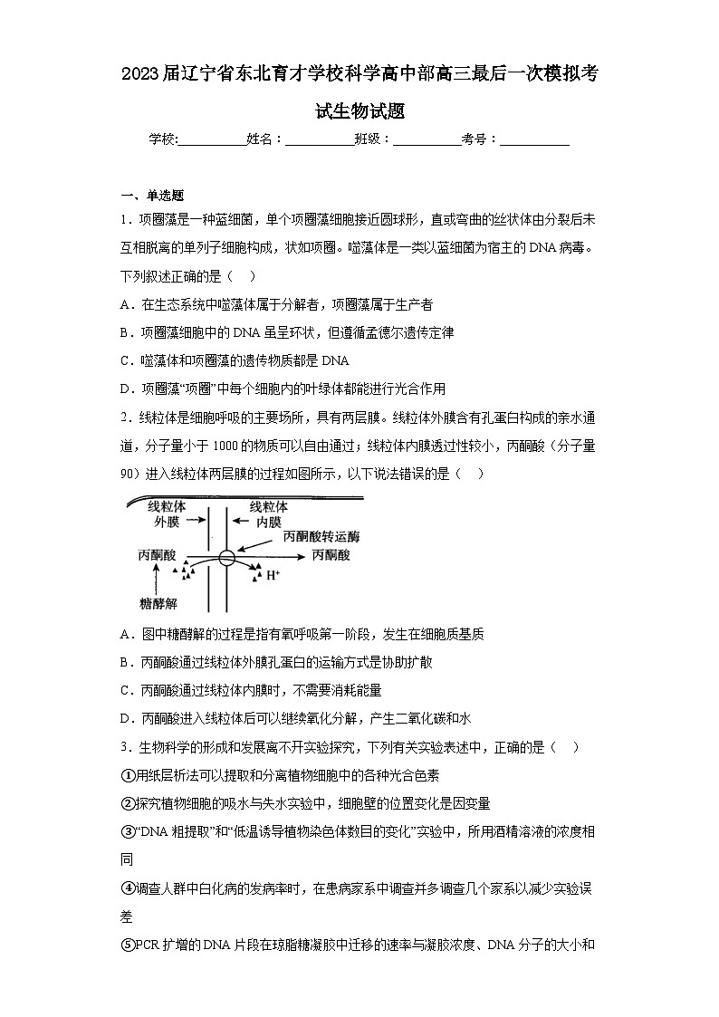 2023届辽宁省东北育才学校科学高中部高三最后一次模拟考试生物试题(含解析)第1页
