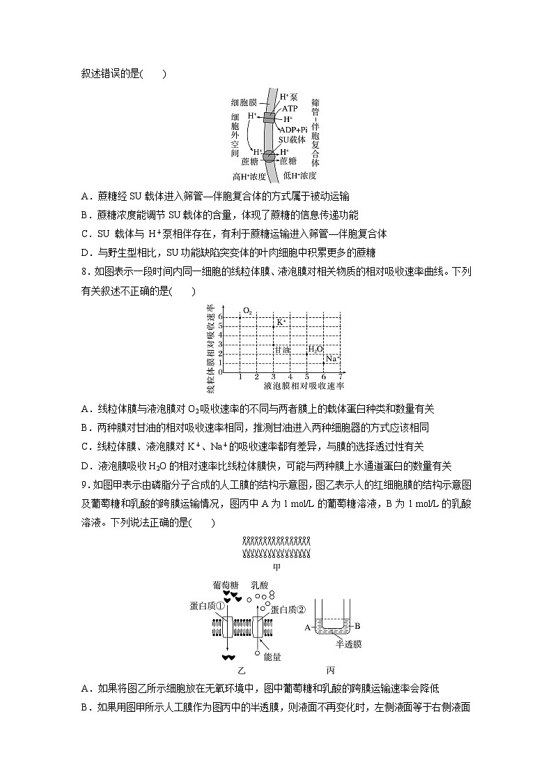 2024届高三生物一轮复习基础夯实练9:物质出入细胞的方式及影响因素第3页