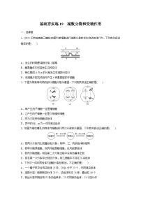 2024届高三生物一轮复习基础夯实练19：减数分裂和受精作用