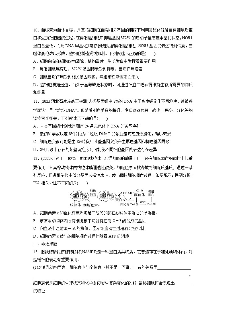 2024届高三生物一轮复习基础夯实练21:细胞的分化、衰老和死亡第3页