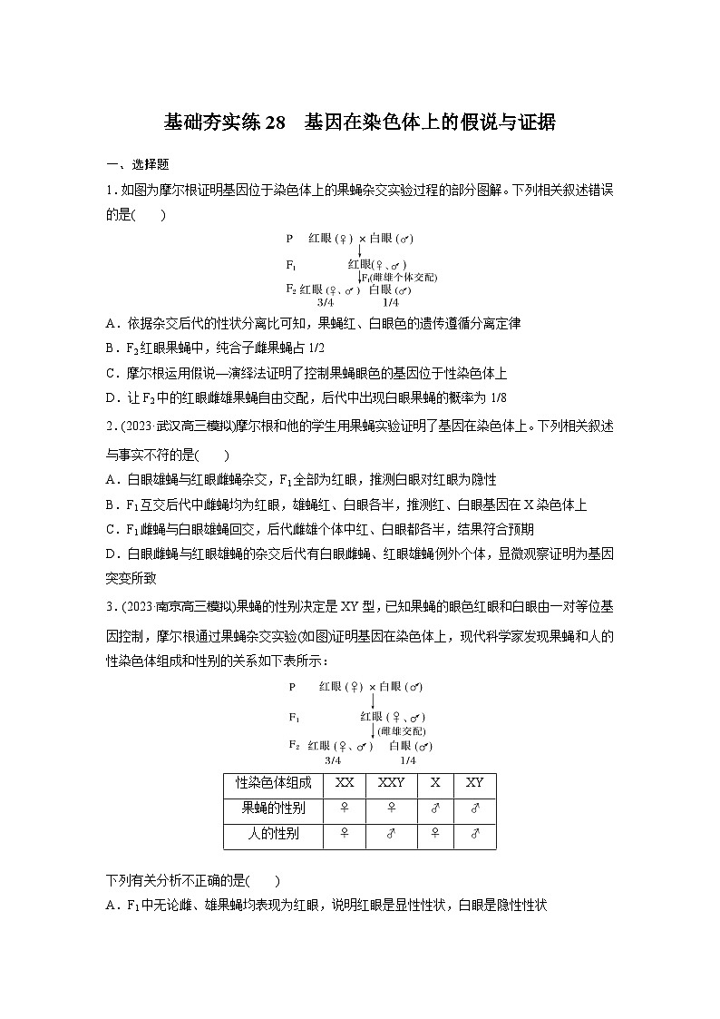 2024届高三生物一轮复习基础夯实练28:基因在染色体上的假说与证据第1页