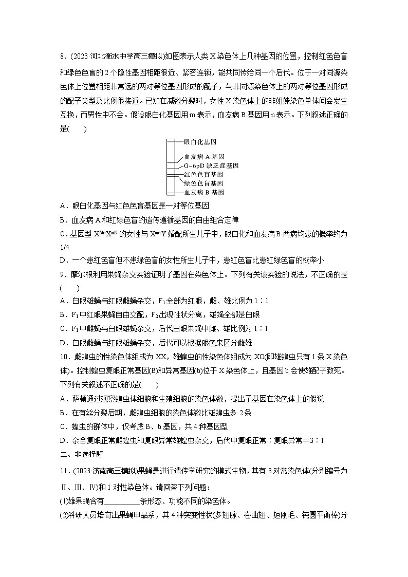 2024届高三生物一轮复习基础夯实练28:基因在染色体上的假说与证据第3页