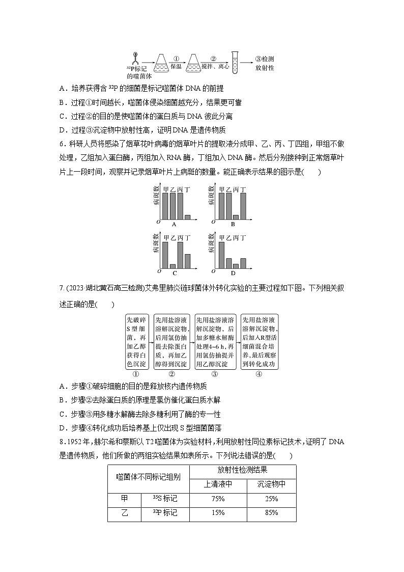 2024届高三生物一轮复习基础夯实练31:DNA是主要的遗传物质第2页