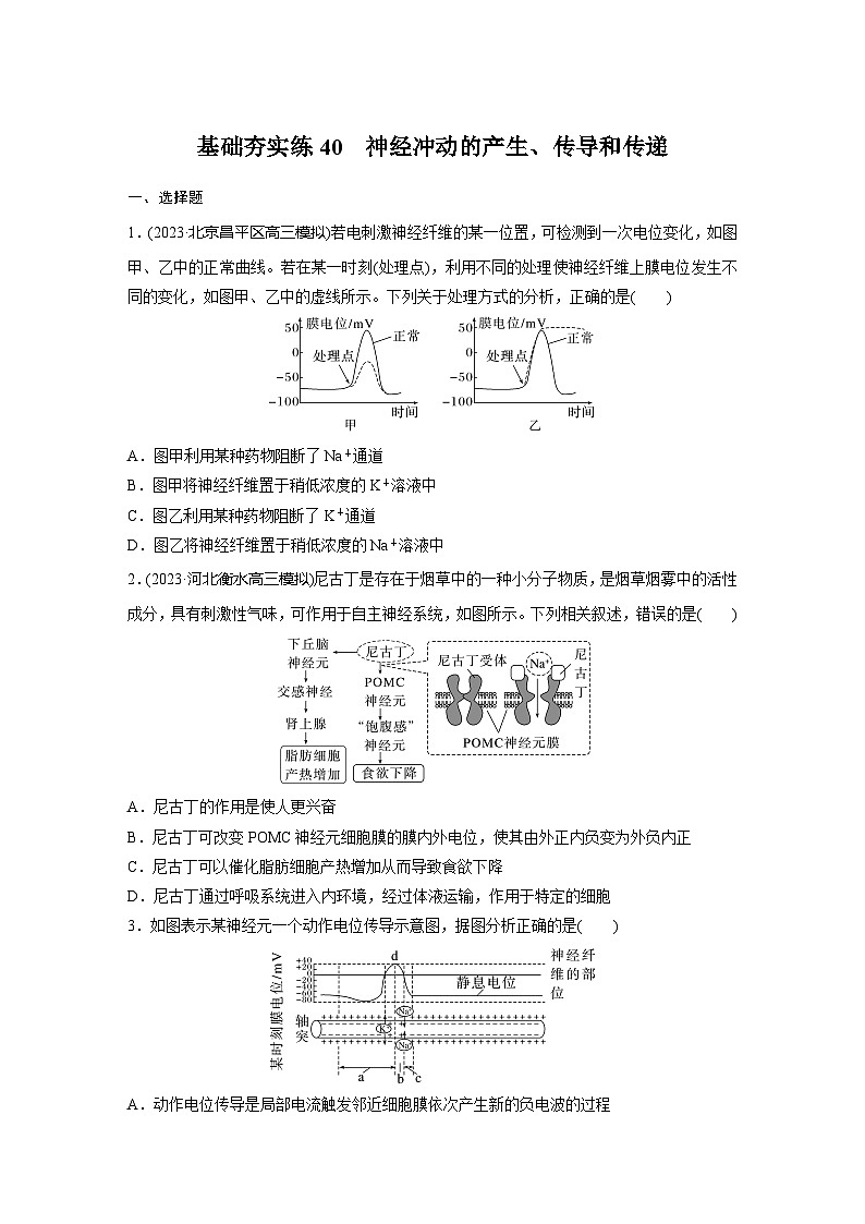 2024届高三生物一轮复习基础夯实练40:神经冲动的产生、传导和传递01
