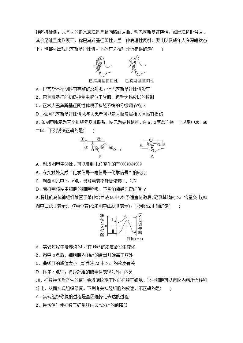 2024届高三生物一轮复习基础夯实练40:神经冲动的产生、传导和传递03