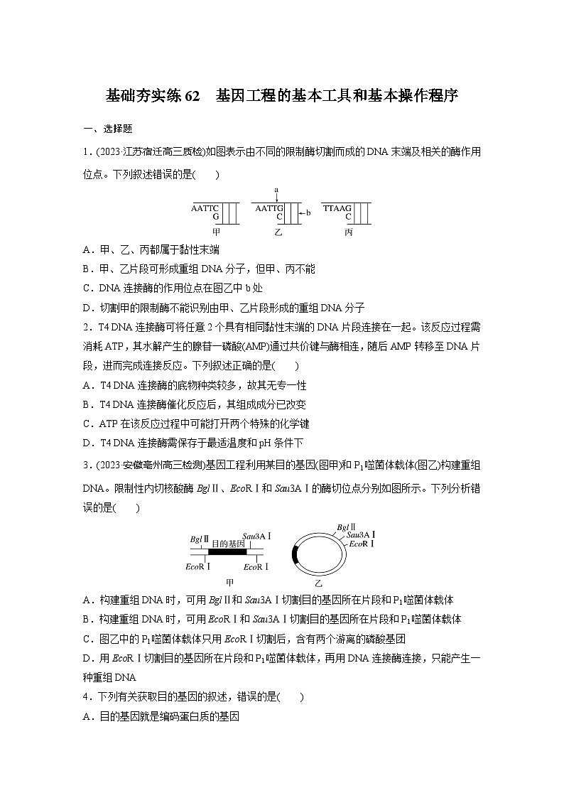 2024届高三生物一轮复习基础夯实练62:基因工程的基本工具和基本操作程序01