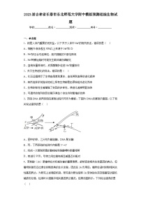 2023届吉林省长春市东北师范大学附中模拟预测理综生物试题（含解析）