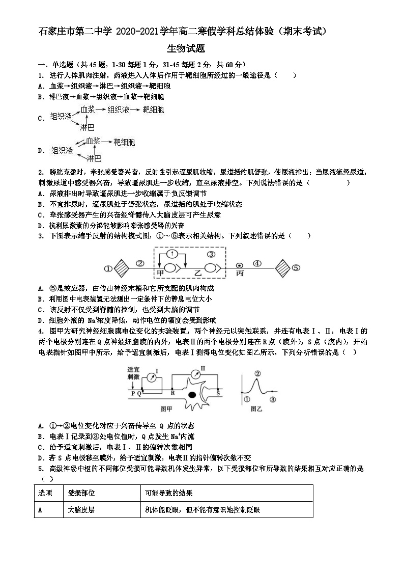 2020-2021学年河北省石家庄市第二中学高二寒假学科总结体验（期末考试）生物试题 （Word版）