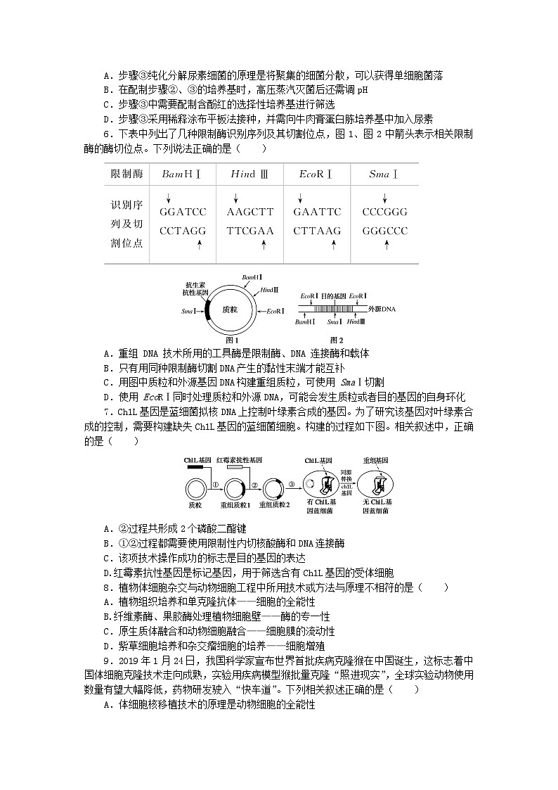 2024版新教材高考生物复习特训卷单元清通关卷十生物技术与工程02