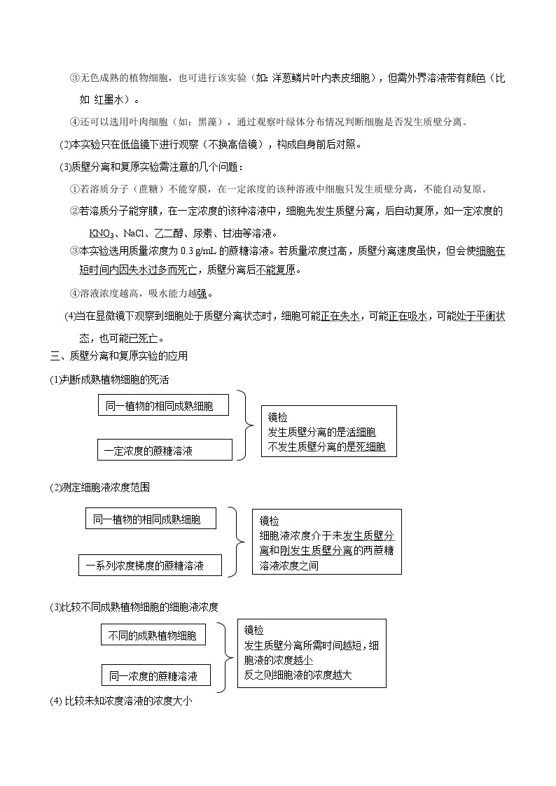 第4章 细胞的物质输入和输出——【期末复习】高一生物单元必背知识点梳理（人教版2019必修1）02