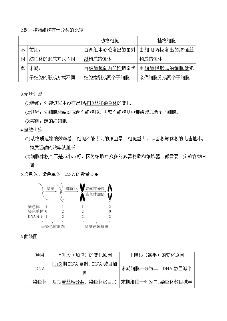 第6章 细胞的生命历程——【期末复习】高一生物单元必背知识点梳理（人教版2019必修1）03