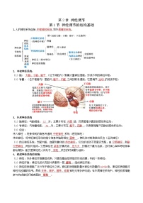 第2章 神经调节——【期末复习】高二上学期生物章节知识点梳理（人教版2019选择性必修1）