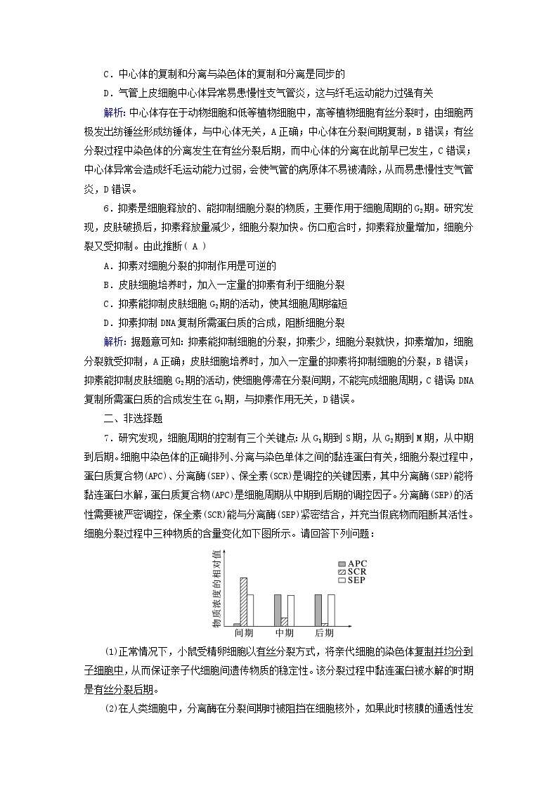 新高考适用2024版高考生物一轮总复习练案11必修1分子与细胞第四单元细胞的生命历程第1讲细胞的增殖03