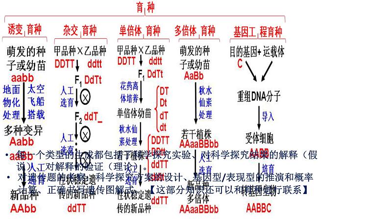 第5期 孟德尔遗传规律综合解题技巧——2022-2023学年高一生物期末专题复习课件(人教版2019必修2)02