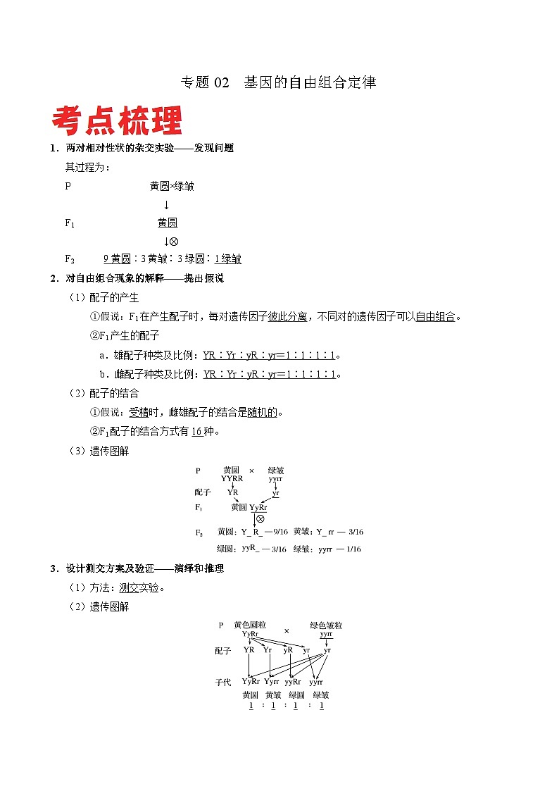 专题02 基因的自由组合定律——高一生物下学期期末复习专题复习学案(人教版2019必修2)(原卷版)第1页