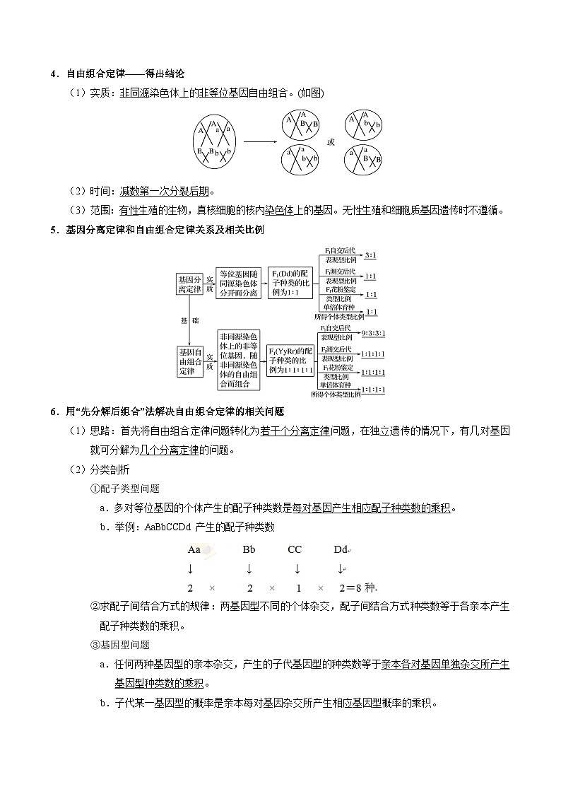 专题02 基因的自由组合定律——高一生物下学期期末复习专题复习学案(人教版2019必修2)(原卷版)第2页