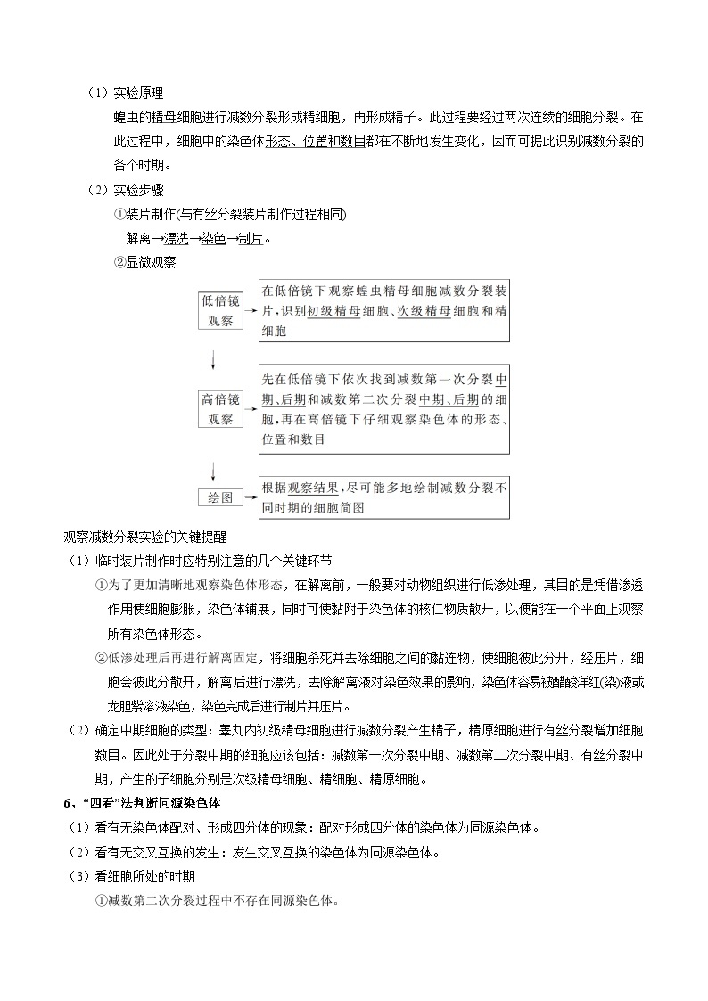 专题04 减数分裂和受精作用——高一生物下学期期末专题复习学案（人教版2019必修2）02