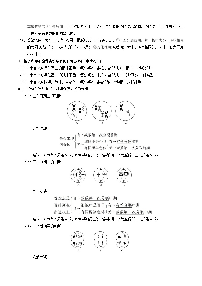 专题04 减数分裂和受精作用——高一生物下学期期末专题复习学案（人教版2019必修2）03