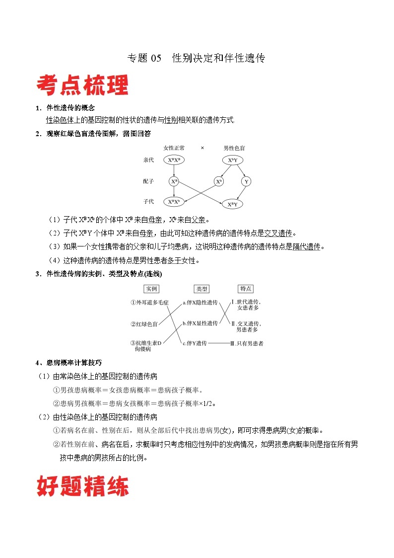 专题05 性别决定和伴性遗传——高一生物下学期期末专题复习学案（人教版2019必修2）01