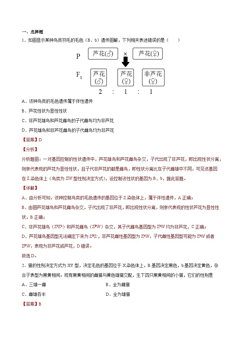 专题05 性别决定和伴性遗传——高一生物下学期期末专题复习学案(人教版2019必修2)(解析版)第2页