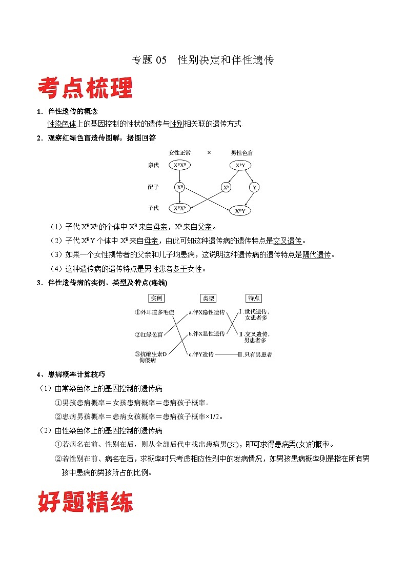 专题05 性别决定和伴性遗传——高一生物下学期期末专题复习学案(人教版2019必修2)(原卷版)第1页