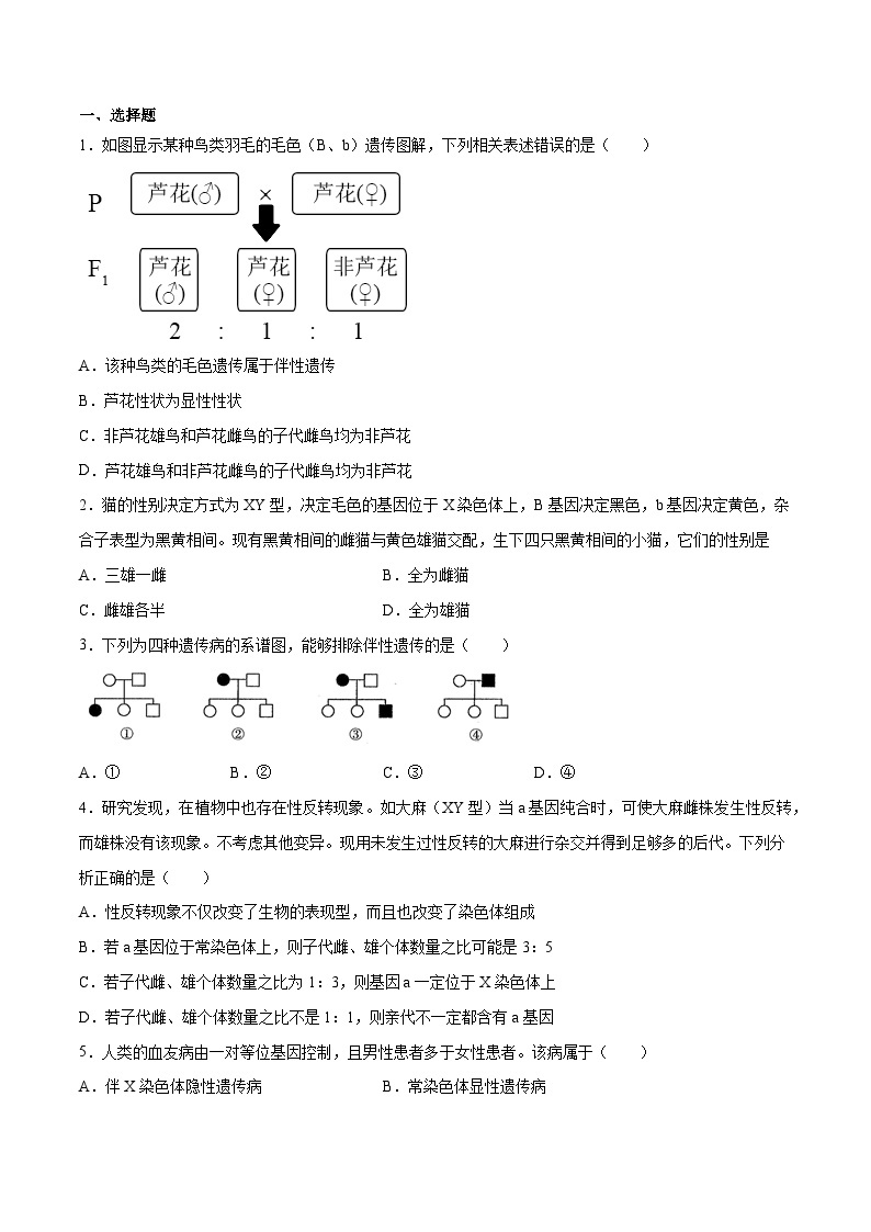 专题05 性别决定和伴性遗传——高一生物下学期期末专题复习学案（人教版2019必修2）02