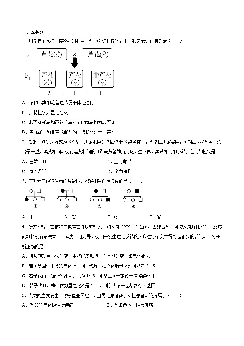 专题05 性别决定和伴性遗传——高一生物下学期期末专题复习学案(人教版2019必修2)(原卷版)第2页