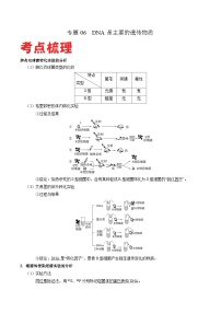 专题06 DNA是主要的遗传物质——高一生物下学期期末专题复习学案（人教版2019必修2）