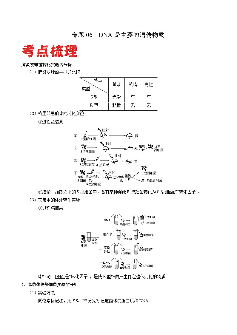 专题06 DNA是主要的遗传物质——高一生物下学期期末专题复习学案(人教版2019必修2)(解析版)第1页