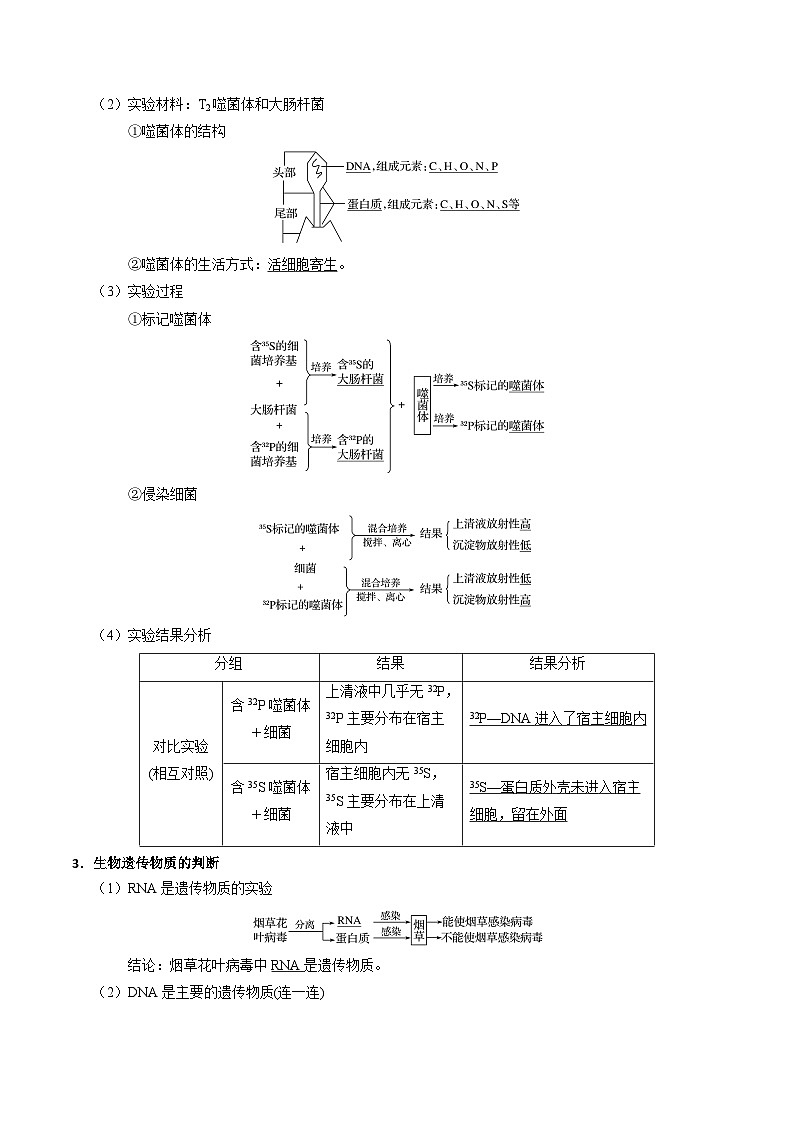 专题06 DNA是主要的遗传物质——高一生物下学期期末专题复习学案(人教版2019必修2)(解析版)第2页