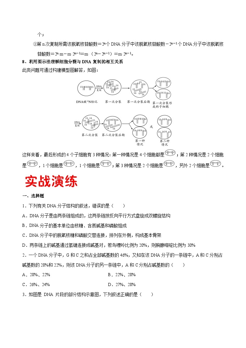 专题07 DNA的结构和复制——高一生物下学期期末专题复习学案（人教版2019必修2）03