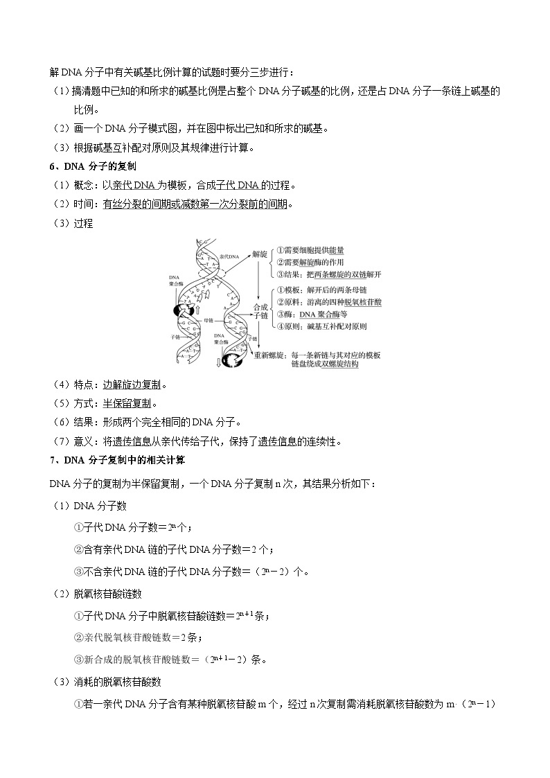 专题07 DNA的结构和复制——高一生物下学期期末专题复习学案（人教版2019必修2）02