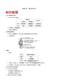 专题08 基因的表达——高一生物下学期期末专题复习学案（人教版2019必修2）