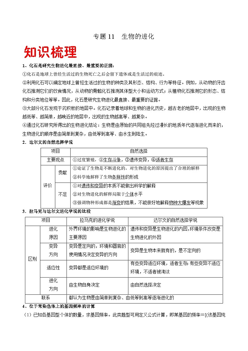 专题11 生物的进化——高一生物下学期期末专题复习学案(人教版2019必修2)(原卷版)第1页