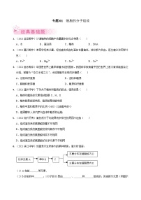 专题01 细胞的分子组成——高一生物下学期期末考试专项训练学案+ 期末模拟卷（2019浙科版）