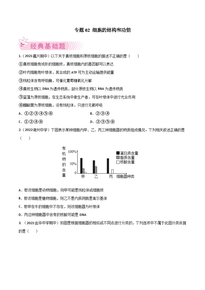 专题02 细胞的结构和功能——高一生物下学期期末考试专项训练学案+ 期末模拟卷（2019浙科版）01