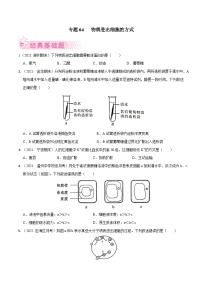 专题04 物质进出细胞的方式——高一生物下学期期末考试专项训练学案+ 期末模拟卷（2019浙科版）