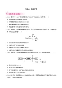 专题05 细胞呼吸——高一生物下学期期末考试专项训练学案+ 期末模拟卷（2019浙科版）