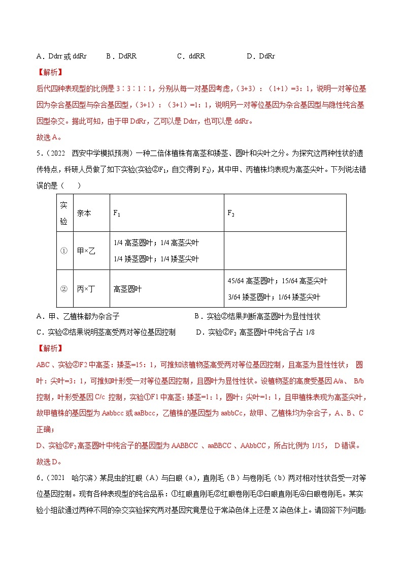 专题10 基因的自由组合定律——高一生物下学期期末考试专项训练学案+ 期末模拟卷（2019浙科版）03