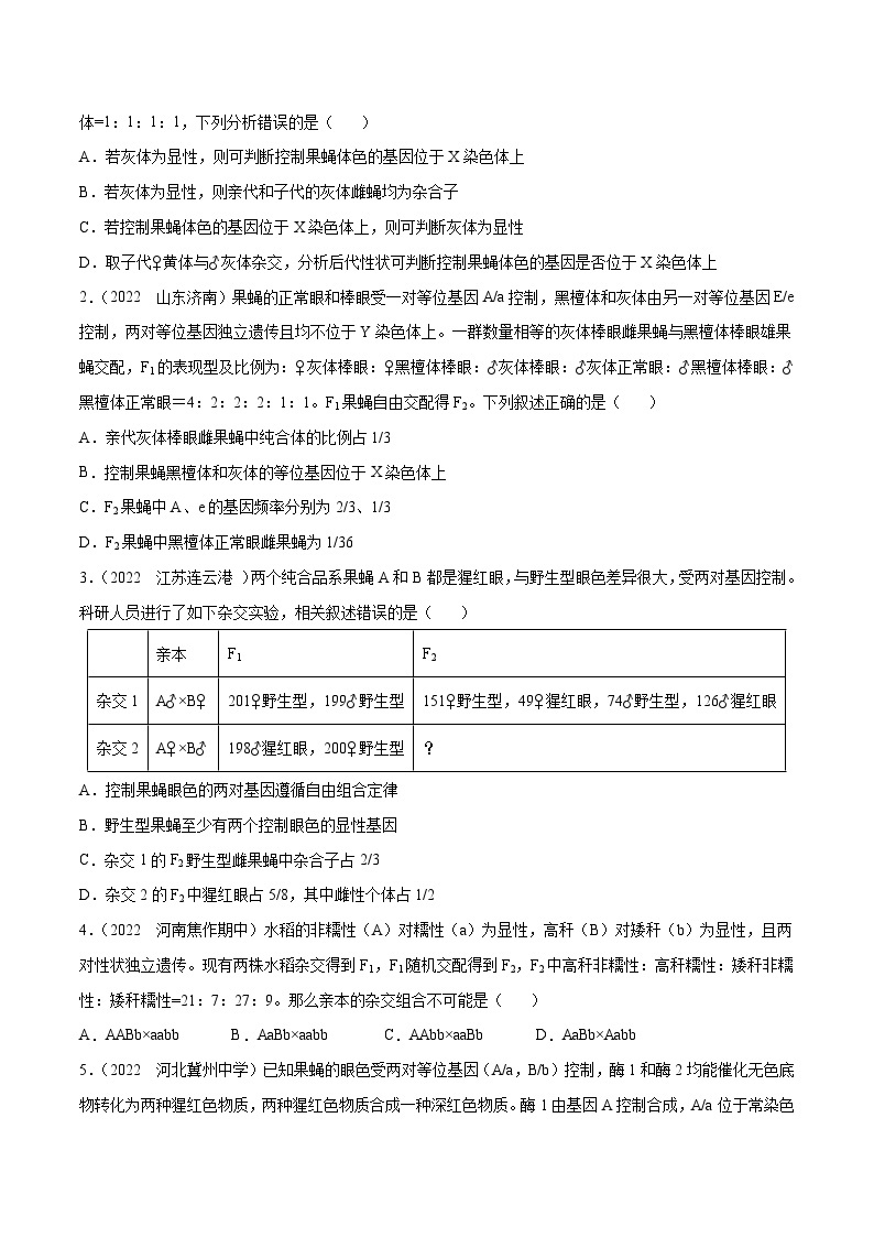 专题10 基因的自由组合定律——高一生物下学期期末考试专项训练学案+ 期末模拟卷（2019浙科版）03