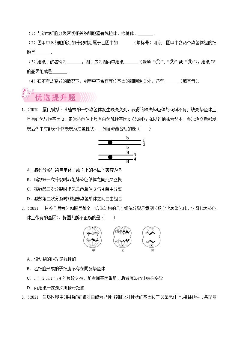 专题11  遗传的细胞基础——高一生物下学期期末考试专项训练学案+ 期末模拟卷（2019浙科版）03