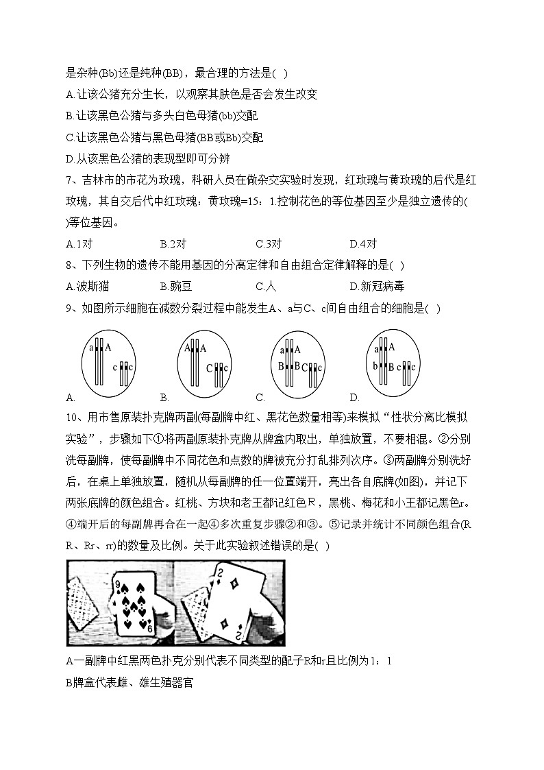 吉林省普通高中友好学校2022-2023学年高一下学期期中联考生物试卷(含答案)第2页