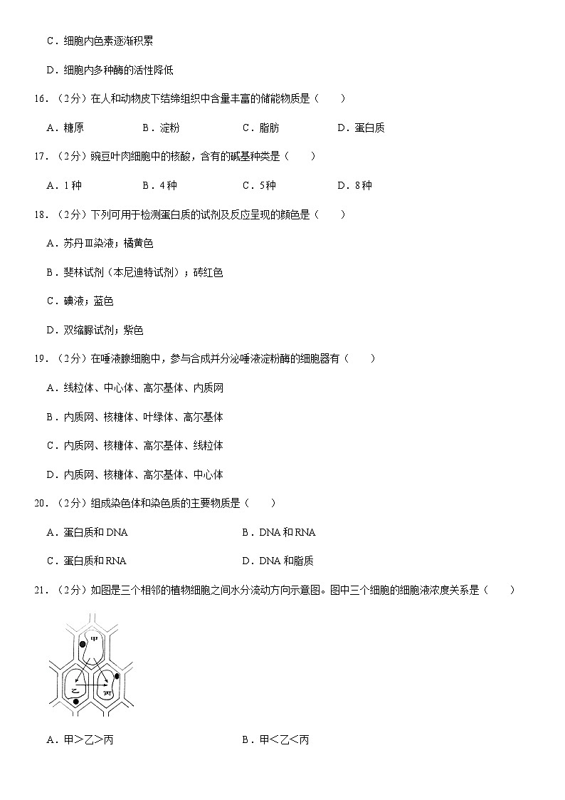 2020北京昌平高一(上)期末生物(教师版) 试卷03